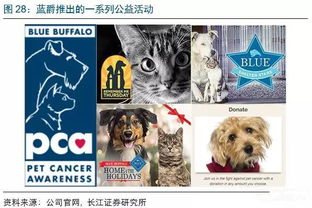 藍(lán)爵寵物食品 卓越品質(zhì)的深度解析