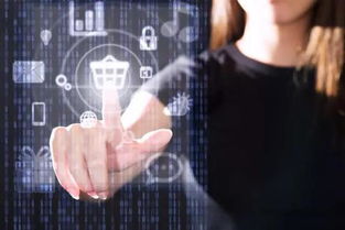 中小學人工智能課程設置 推廣編程教育，開發(fā)應用軟件，培育未來創(chuàng)新人才